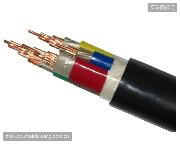 财务模型显示,体育场馆实施PIM电缆绝缘层改性的投资回报周期已少于5年 财务模型显示,体育场馆实施PIM电缆绝缘层改性的投资回报周期已少于5年